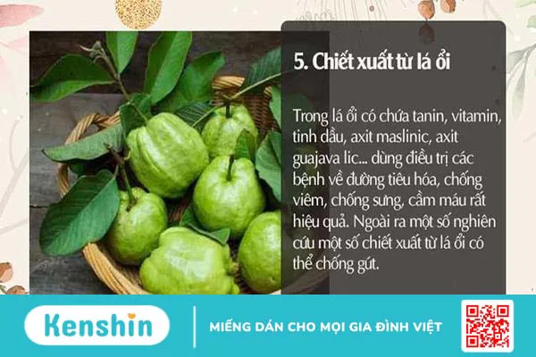 Người bệnh gút nên ăn gì? Thực đơn cho người bệnh gout Người bệnh gút nên ăn gì? Thực đơn cho người bệnh gout