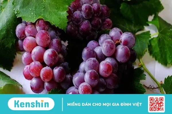 Người bị xơ gan ăn trái cây gì? 8 hoa quả tốt nhất cho bệnh nhân xơ gan