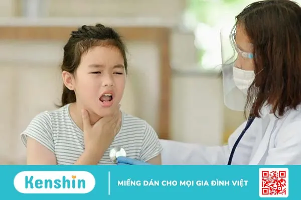 Nguyên nhân bệnh sán chó: Có phải ai nuôi chó, mèo cũng nhiễm bệnh?