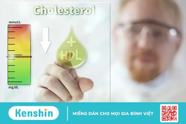 Nguyên nhân chỉ số HDL cholesterol thấp là gì?