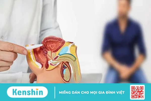 Nguyên nhân gây vô sinh ở nam giới: Tất cả những điều cần biết!