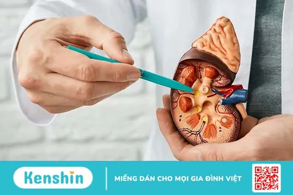 Nguyên nhân thận ứ nước là do đâu?