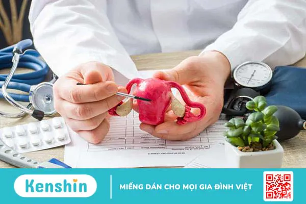 Nguyên nhân và cách khắc phục niêm mạc tử cung mỏng