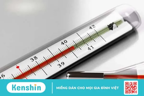 Nhận biết sớm các triệu chứng sốt xuất huyết ở người lớn và cách điều trị