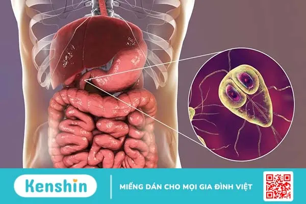 Nhiễm ký sinh trùng đường ruột qua thức ăn