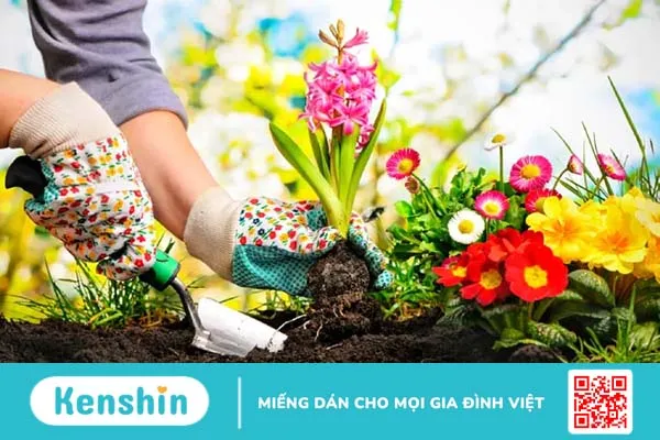 Nhiễm toxoplasma khi mang thai: Nguy hiểm và phải đề phòng