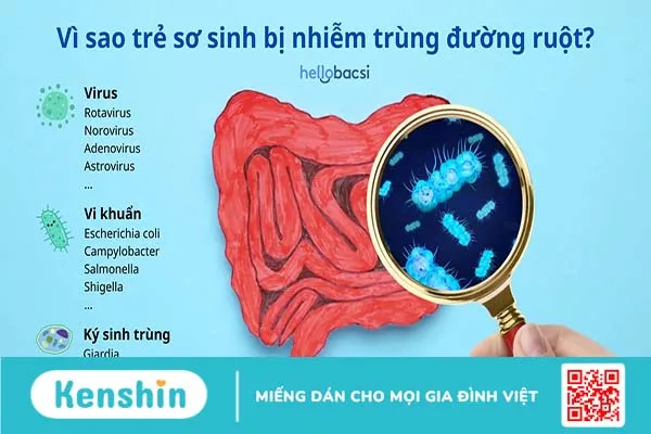 Nhiễm trùng đường ruột ở trẻ sơ sinh: Triệu chứng và cách điều trị