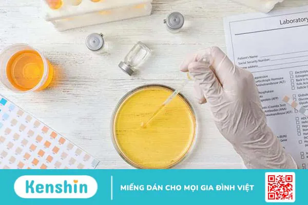 Nhiễm trùng đường tiểu ở trẻ em được điều trị, phòng ngừa như thế nào?