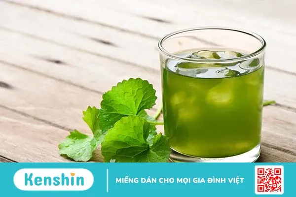 Nhiệt miệng uống gì mau khỏi? 10 thức uống chữa nhiệt miệng hữu hiệu