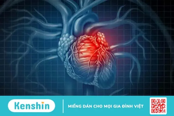 Nhịp tim bình thường là bao nhiêu? Khi nào cần gặp bác sĩ?