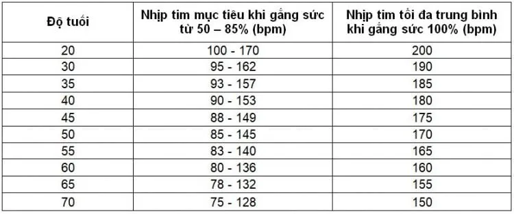 Nhịp tim người bình thường là bao nhiêu theo từng độ tuổi