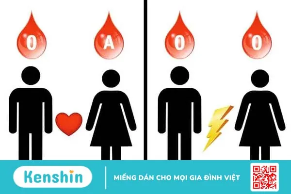 Nhóm máu O có hiếm không, nhận được nhóm máu nào và tính cách người mang nhóm máu này