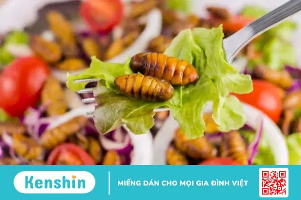 Nhộng tằm có tác dụng gì? 3 món ăn bổ dưỡng từ nhộng tằm