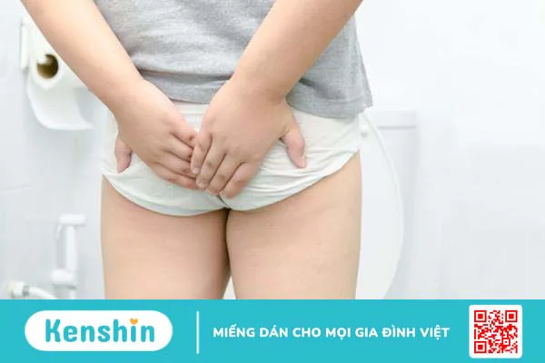 Nhựa cây máu rồng: Liều thuốc quý chữa bệnh từ ngàn năm