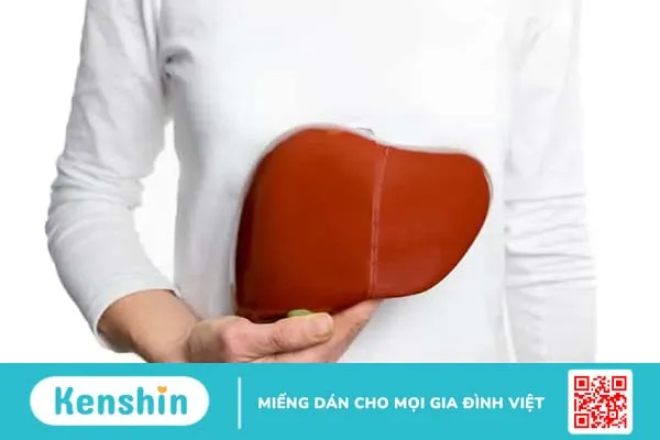 Những điều bạn nên biết về thực phẩm chức năng gan