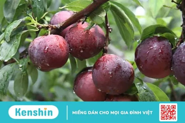 Những loại rau củ và trái cây màu tím bạn không nên bỏ lỡ