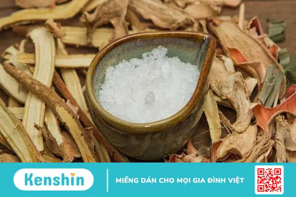 Những sự thật về long não nhất định bạn phải biết