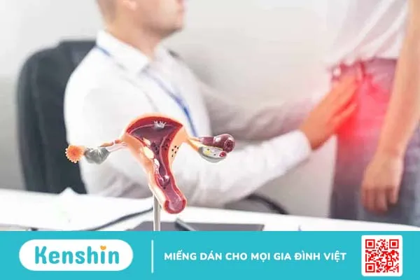 Nội mạc tử cung là gì? Cấu tạo, vị trí và chức năng