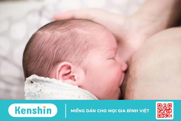 Núm trợ ti là gì? Ưu, nhược điểm và cách sử dụng núm trợ ti