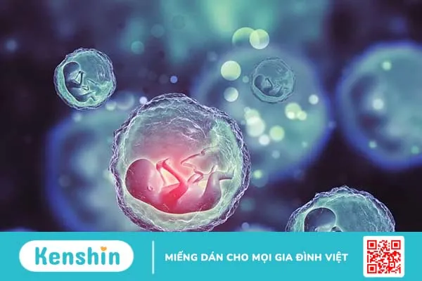 Nước ối có màu gì? Màu nước ối như thế nào là bất thường?