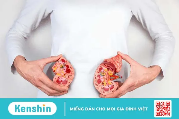 Nước tiểu bị đục do đâu?