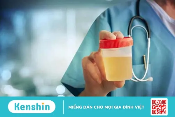 Nước tiểu có bọt là bệnh gì và cách khắc phục