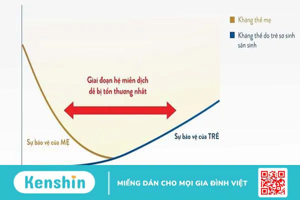 Nuôi con khoa học: Đừng chỉ lo cân nặng, miễn dịch – trí não cũng là “then chốt”