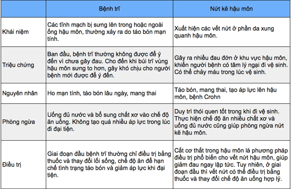 Nứt kẽ hậu môn là gì, triệu chứng ra sao? Đừng nhầm lẫn với bệnh trĩ!