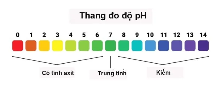 pH âm đạo mất cân bằng gây tổn hại gì? Làm cách nào để cân bằng?