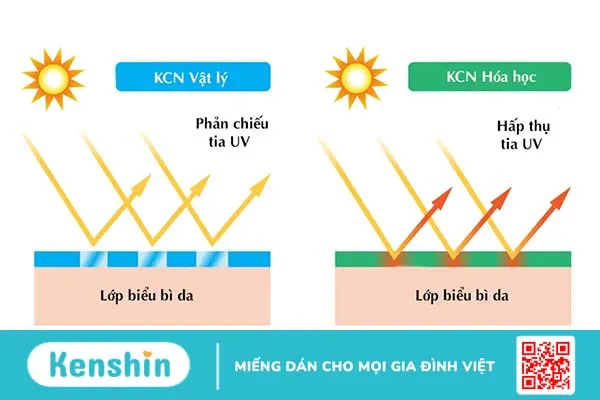 Phân biệt kem chống nắng vật lý và hóa học để bảo vệ làn da