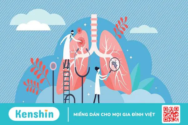 Phân biệt viêm phổi và viêm phế quản khác nhau như thế nào? Phân biệt viêm phổi và viêm phế quản khác nhau như thế nào?