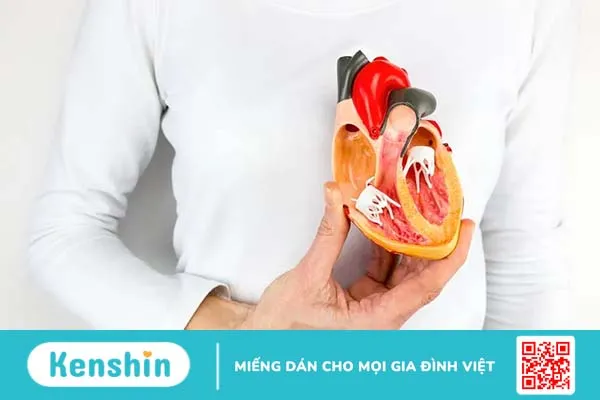 Phẫu thuật tim và những điều có thể bạn chưa biết