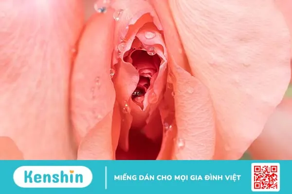 Phụ nữ lên đỉnh thế nào? 5 dấu hiệu con gái lên đỉnh dễ nhận biết