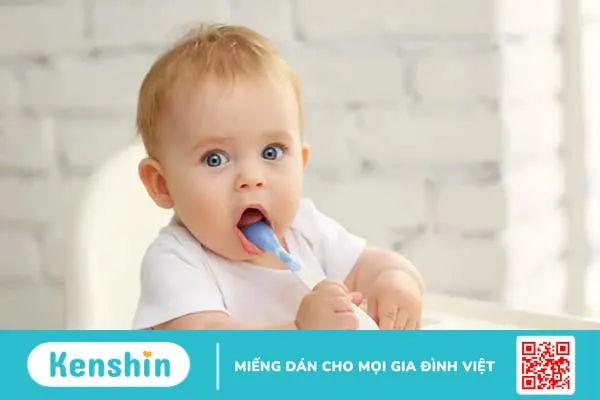 Phương pháp ăn dặm kiểu Nhật là gì? Cách cho bé ăn dặm kiểu nhật