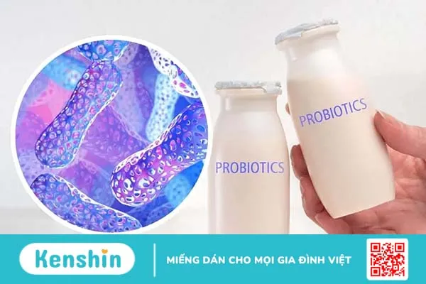 Probiotic là gì? Lợi ích tuyệt vời của lợi khuẩn probiotic