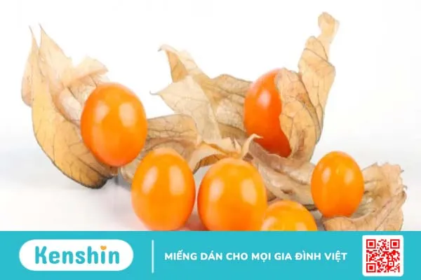 Quả lồng đèn (golden berry): Thứ quả lạ và thú vị