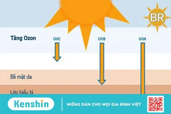 Quá trình da lão hóa diễn ra như thế nào?