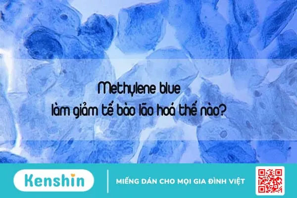 Quá trình da lão hóa diễn ra như thế nào?