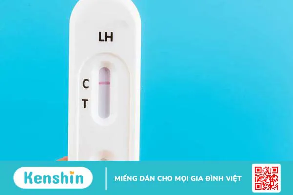 Que thử rụng trứng: Chi tiết cách dùng, đọc kết quả và gợi ý 6 loại que thử tốt