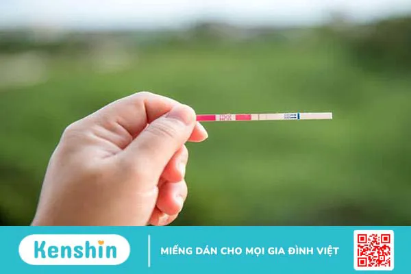 Que thử rụng trứng: Chi tiết cách dùng, đọc kết quả và gợi ý 6 loại que thử tốt