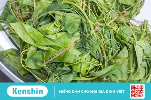 Rau bò khai: công dụng và 4 cách chế biến từ rau bò khai