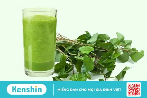 Rau diếp cá có tác dụng gì? Điểm danh 8 lợi ích của rau diếp cá