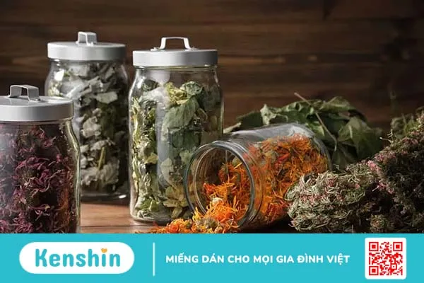 Rau diếp cá có tác dụng gì? Điểm danh 8 lợi ích của rau diếp cá