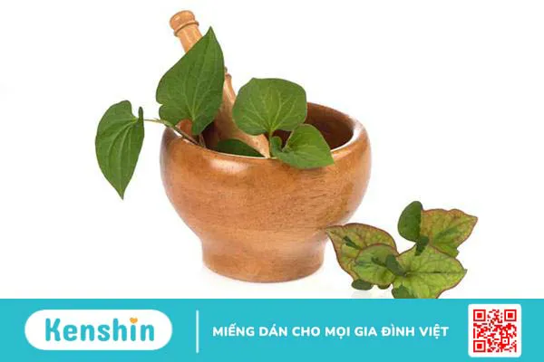 Rau diếp cá có tác dụng gì?