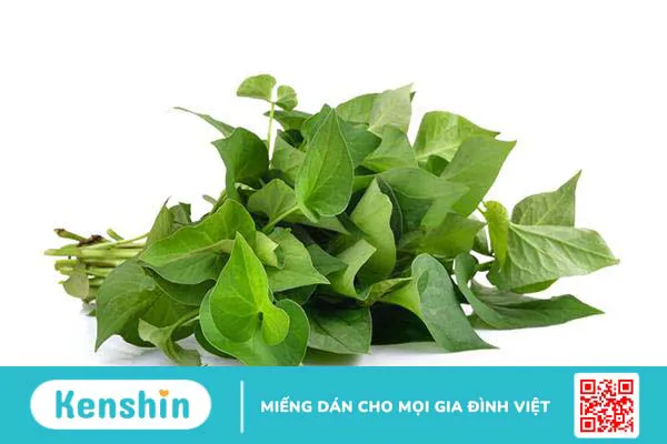 Rau diếp cá có tác dụng gì?