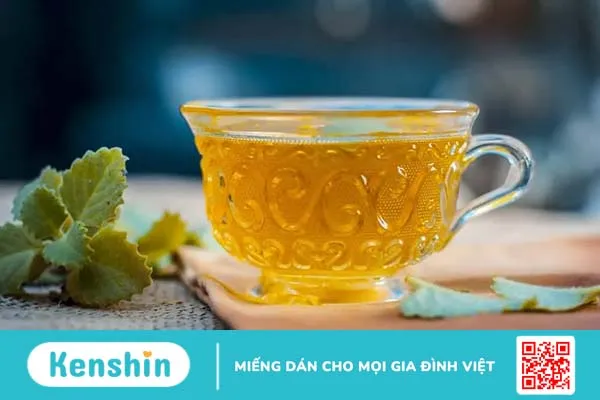 Rau tần dày lá: Chữa ho, giảm viêm họng, ngừa ung thư và 8 công dụng khác