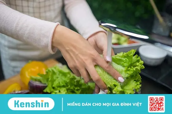 Rau xà lách và 9 lợi ích sức khỏe tuyệt vời