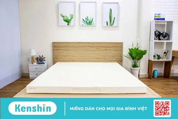 Review 6 nệm cao su thiên nhiên giúp gia đình ngon giấc, tốt cho sức khỏe