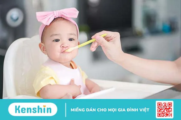 Review ghế ăn dặm: Top 7 ghế ăn dặm cao, điều chỉnh hoặc cố định – an toàn cho trẻ