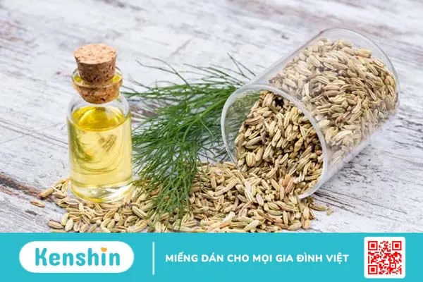 Rối loạn tiêu hóa nên ăn gì? 11 loại thực phẩm cải thiện tiêu hóa nhanh chóng